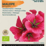 Buzzy® Organic Malope, Trechtermalva Red Queen (BIO)