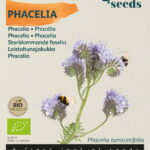 Buzzy® Organic Phacelia, Bijenvoer (BIO)