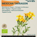 Buzzy® Organic Tagetes Lucida, Mexicaanse dragon (BIO)