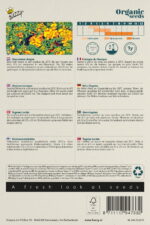 Buzzy® Organic Tagetes Lucida, Mexicaanse dragon (BIO) - Afbeelding 2