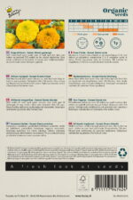 Buzzy® Organic Tagetes, Afrikaan Sunset Giants gem. (BIO) - Afbeelding 2