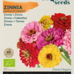 Buzzy® Organic Zinnia dubbele Dahliabloemige mix (BIO)