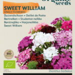 Buzzy® Organic Dianthus, Duizendschoon mix (BIO)