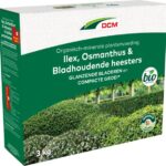 Ilex, Osmanthus & Bladhoudende Heesters 3kg