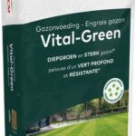 Vital-Green Gazon 10kg