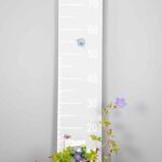 Geranium 'Rozanne'
